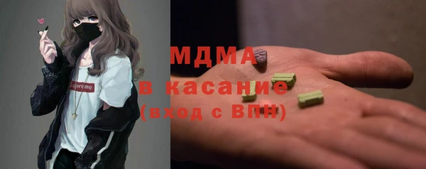 индика Надым